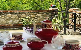 Guest house Babaka